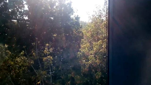 Монорельс - Бой колоколов в парке Останкино - 3/7 смотреть онлайн