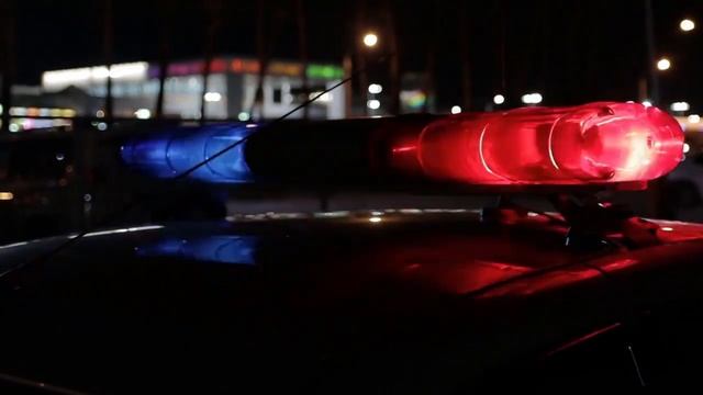🦊 Police Siren 1 HOUR Sound Effect Cop Sirens Sounds