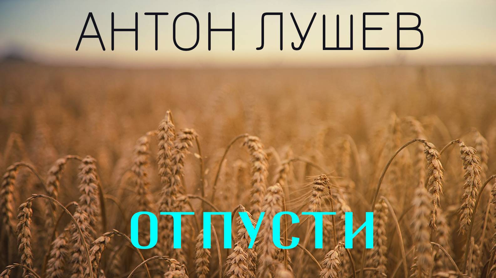 Антон Лушев - Отпусти