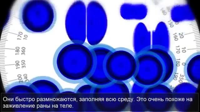 Доктор Натан Ньюман Технология продукции Jeunesse Global смотреть онлайн