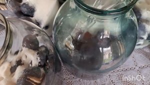 Самый простой и вкусный компот из сливы на зиму!