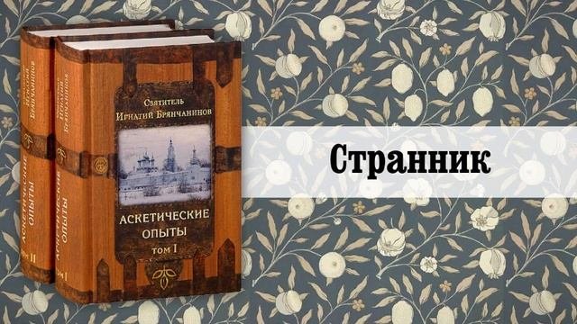 18. Странник. Святитель Игнатий (Брянчанинов)