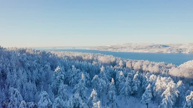 Зима, Рождество, волшебство 4K - Живописный Расслабляющий фильм , медитации фоновое