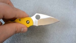 spyderco dragonfly 2 salt