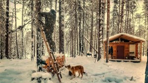 Таёжная Избушка под Надёжной Охраной. Фотоловушка на Лесной Избе. Попался первый Соболь НО не ТОТ.