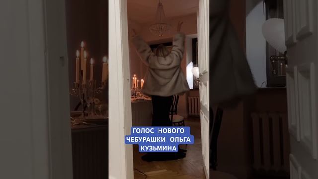 Голос нового Чебурашки Ольга Кузьмина в прекрасной форме после рождения второго ребенка