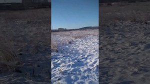 Самодельный гусеничный вездеход