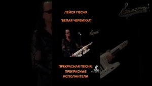 Белая Черепаха. 🎸❤️