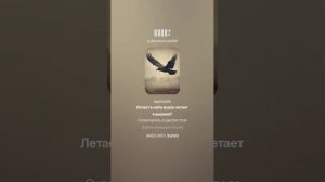 Бой на рассвете.