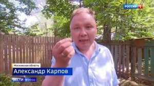 В Подмосковье небывалое нашествие комаров