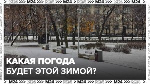 Москвичам рассказали, что зимой погода в столице будет неоднородной - Москва 24