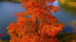 Осень, не спеши