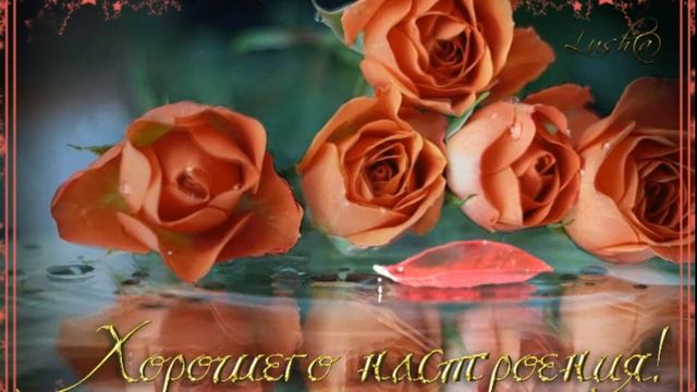 Анжелика Агурбаш   Это любовь смотреть онлайн