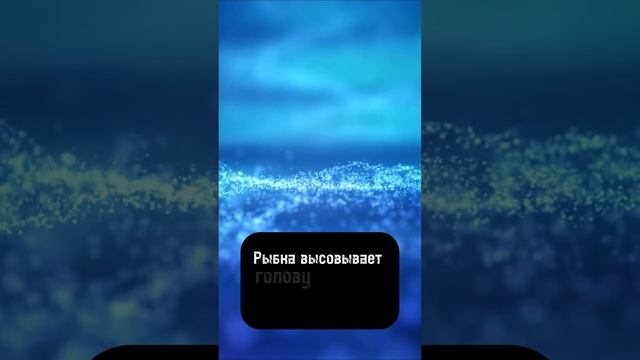 Золотая рыбка на берегу