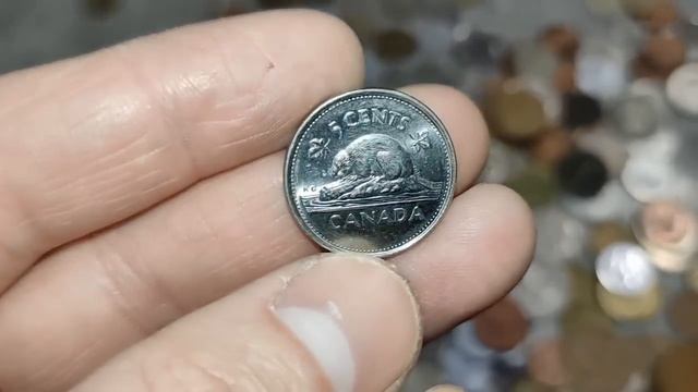 PLASTILIN. ВСЕ МОИ МОНЕТЫ И БАНКНОТЫ НАЙДЕННЫЕ ПРИ ПОИСКЕ МЕТАЛЛОЛОМА! МОЯ КОЛЛЕКЦИЯ МОНЕТ
