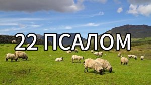 22 ПСАЛОМ