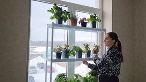 Как увеличить площадь подоконника для рассады в три раза