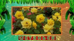 🥰💖💖💖"ОСТАНЬСЯ!",  Романс, 💚💙💖"Stay!" исп. Л.Скат