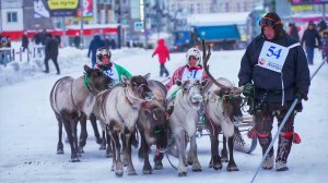 Гонки на оленьих упряжках в Воркуте | Изьватас олэм