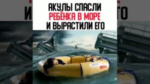 МАЛЬЧИК АКУЛА/  ХОРОШОЕ КИНО