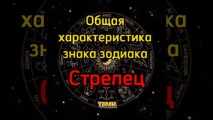 Характеристика знака Стрелец / полная характеристика