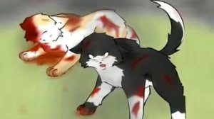 Коты   Воители   Яролика