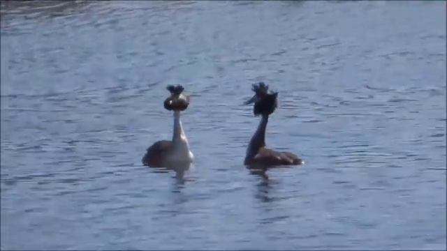 Романс-2 смотреть онлайн