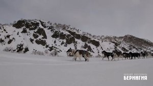 Кто из каюров первым преодолел экватор гонки Берингия