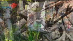 Бали, ноябрь 2020