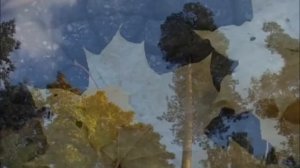 Константин Арди. Жалобно стонет ветер осенний...