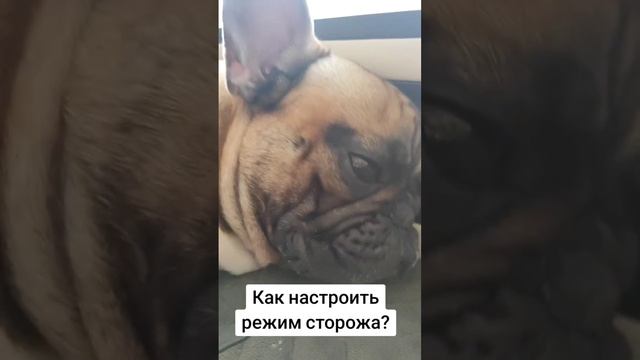 Режим сторожа отключился