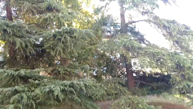 Annihilation Аннигиляция 2018 непристойное предложение Жизнь Уве смотреть онлайн