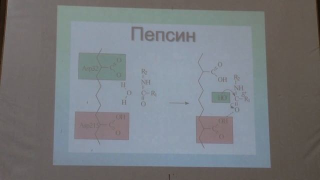 Левашов А. В. - Химические основы биологических процессов - 16. Аспекты ферментативного катализа