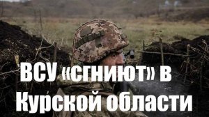 «Солдаты ВСУ «сгниют» в Курской области до инаугурации Трампа»