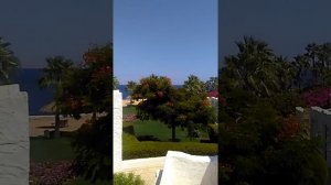 ОТЗЫВ!! Что нужно знать когда едете в  LABRANDA TOWER BAY! 2019