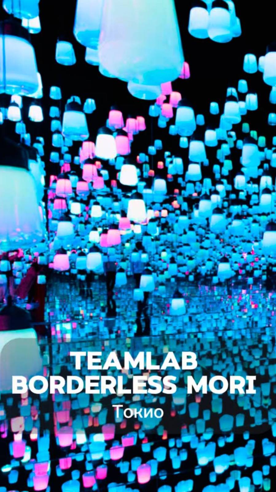 Музей цифрового искусства TeamLab Borderless Mori👾#mandarin #музей #travel #япония #обзор #shorts