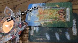 Солнце уже 💯освещает путь☀🍀☀