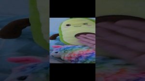 VID_20241204_032423.mp4