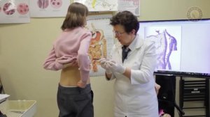 Апитерапия – лечение пчелами