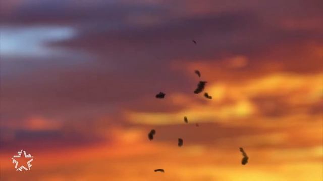 Филипп Киркоров - Индиго смотреть онлайн