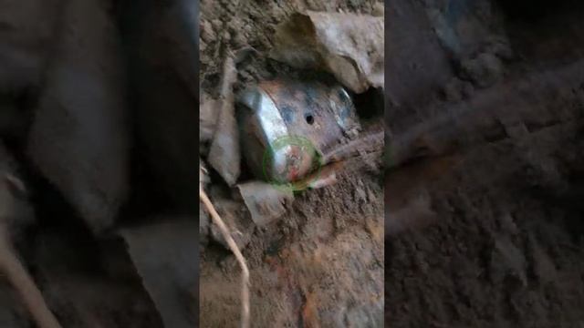 Лесная находка мотоцикл 1 часть смотреть онлайн