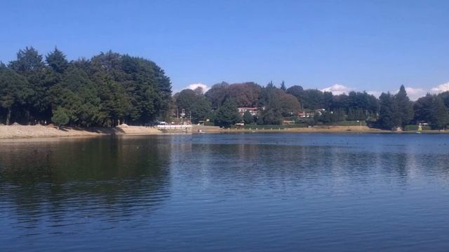 Branched chain amino acid - Wikipedia Article Audio смотреть онлайн