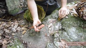 ловушка на пресноводных креветок:примитивные технологии 👍