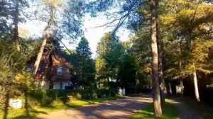 В объятиях природы: чудеса и гармония окружающего мира 🥰🌳🏡