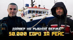 Работа на рыбной ферме в Норвегии за 50,000€ в год. BFISHERMAN, Ренат Бесолов