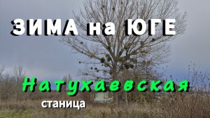 Первый день ЗИМЫ на ЮГЕ.Штрудель с айвой.Лесок на севере станицы Натухаевская