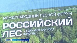 Международный лесной форум и выставка «Российский лес» открылся в Вологде