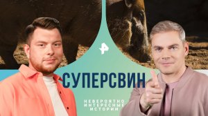 Суперсвин — Невероятно интересные истории (20.03.2024)