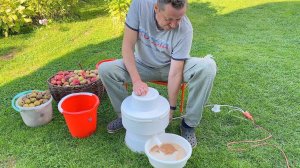 VLOG Куда  деть яблоки? Ириска или Ирис? Идем за грибами с папой  22-26.08.21