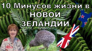 Минусы жизни в Новой Зеландии